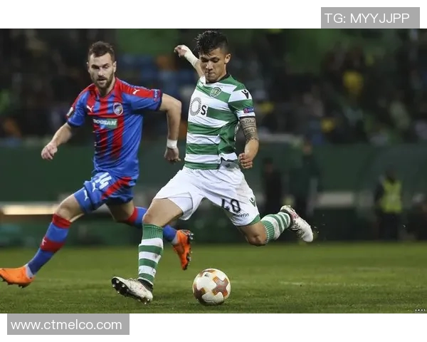 沙姆洛克与斯塔尔南的精彩对决分析与赛后点评 沙姆洛克与斯塔尔南的精彩对决分析与赛后点评